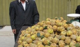 新疆网红吃哈密瓜,哈密瓜美味引全民热议